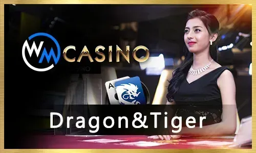 Beginner's Guide to Live Casino Games